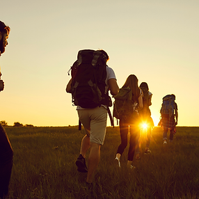 Sans titre (256 × 256 px) (500 × 500 px).png