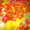 Thumbnail: NOKTON 50mm F1.0 Aspheric M-mount