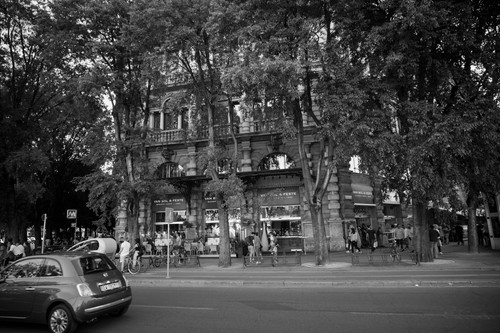COLOR-SKOPAR 21mm F4 P M-mount | MysticFocus