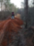IMG_2265.jpeg