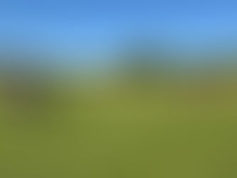 Tee 10