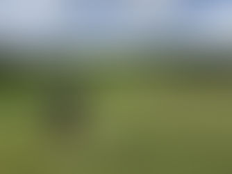En golfspelare puttar mot hål