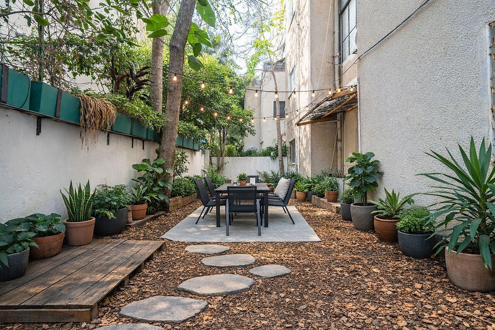 ברדיצבסקי גינה תל אביב.jpeg