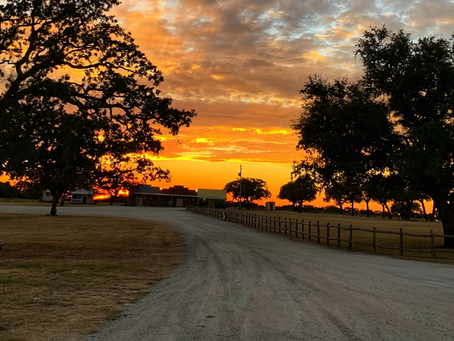 The Benefits of a Weekend Ranch Experience for Your Wedding Celebration
