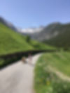 IMG_3643.jpeg
