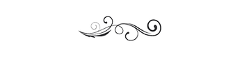 alquiler-de-para-eventos-en-surquillo-492505_edited.png