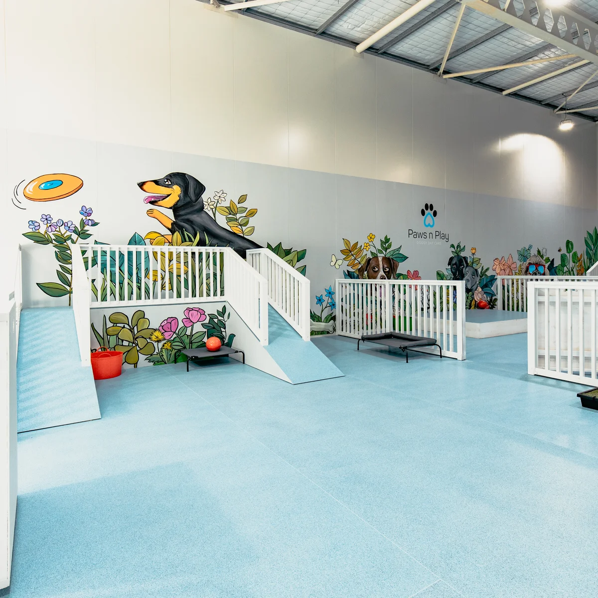 Doggy Daycare Paws N Play Sa Doggy Daycare Saint Agnes