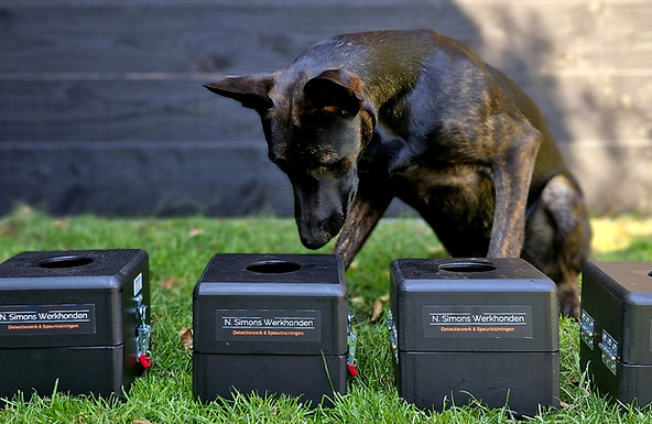 Line-up detectie