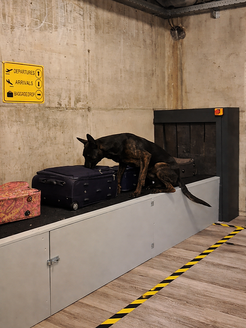 ChatGPT Image 21 apr 2026, 20_50_06.png