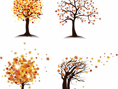 Autumn Tree Crack   With Keygen Free Download [Mac/Win]