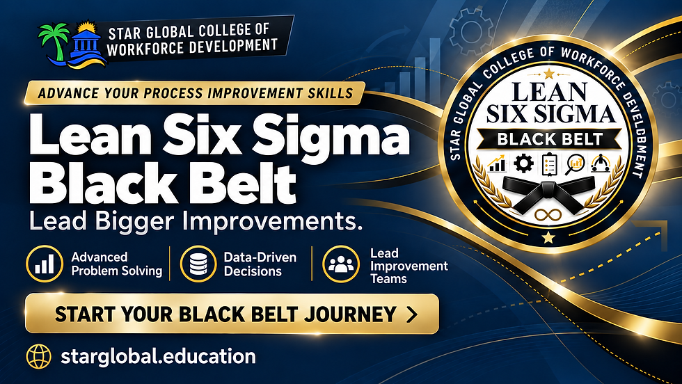 Self-Paced Lean Six Sigma Black Belt