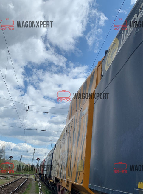 Güterwagen mit Tigermuster und blauer Himmel