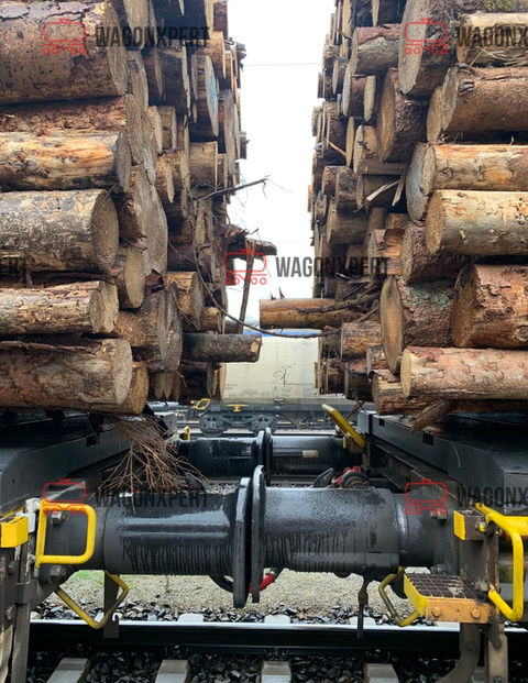 Holzstämme auf einem Güterwagen