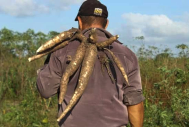 No caminho da roça_edited_edited.jpg