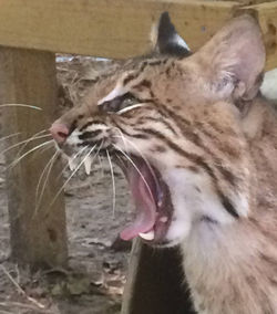 10991559_10153028920016154_458729128559634374_o