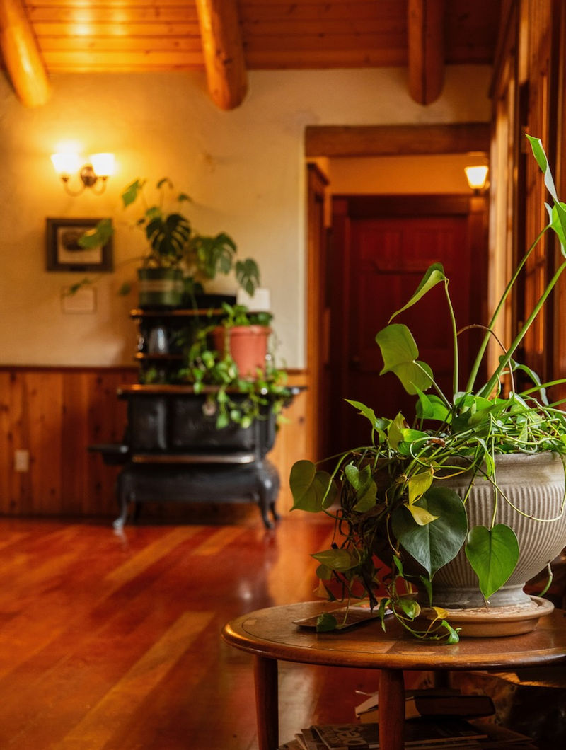 Cozy interior corner with wood stove