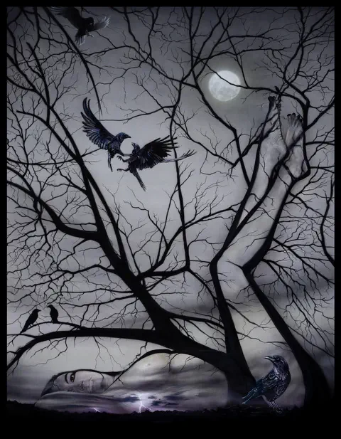 Trees Gallery Craig Tracy Gallery