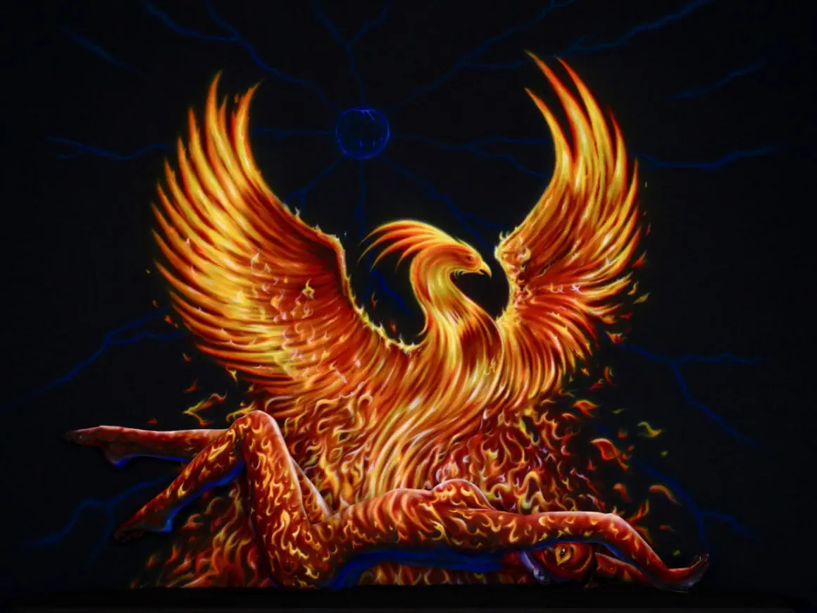 Animals Gallery Craig Tracy Gallery