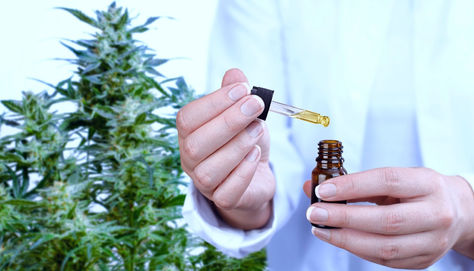 Licencia para importar productos y derivados de cannabis psicoactivo en Costa Rica