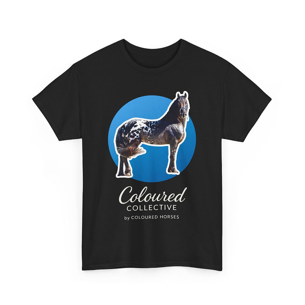 Thumbnail: Coloured Collective Unisex Heavy Cotton Tee - Horse Graphic Shirt