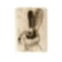 Stamps Animals