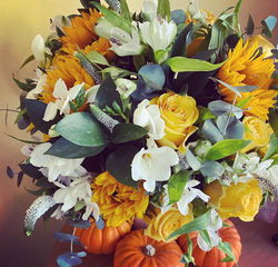 WhatsApp Image 2025-09-02 at 00.14.22(4)