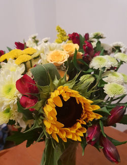 WhatsApp Image 2025-08-31 at 23.32.23(2)