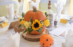 WhatsApp Image 2025-08-31 at 23.32.24(20)