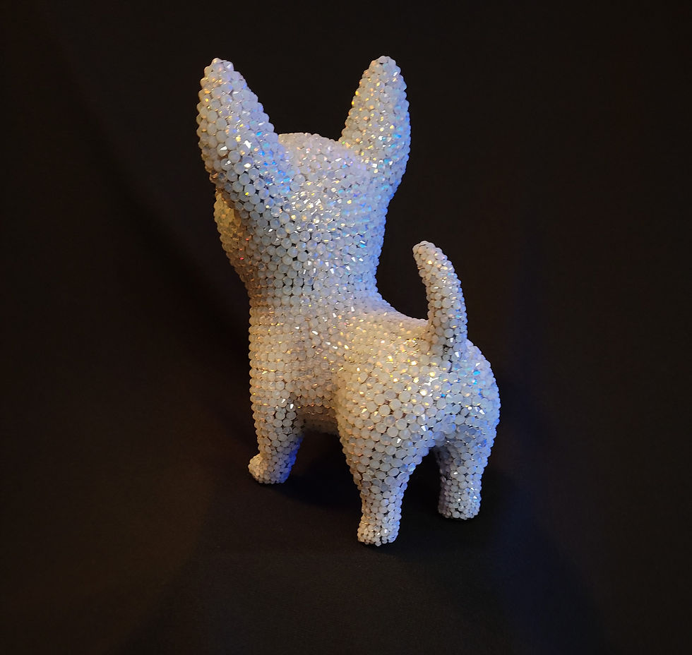 Thumbnail: Chihuahua