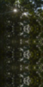 Background.jpg