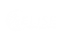 SELISE-DP-logo-white.svg.png