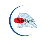 Logo Reseau Siggil Jigeen