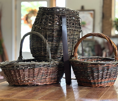 Wild Arts Willow Basketry.jpg