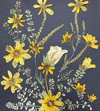 My Botanical Life Pressed Flowers 3.jpg