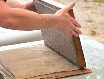 Wild Arts Papermaking_edited.jpg