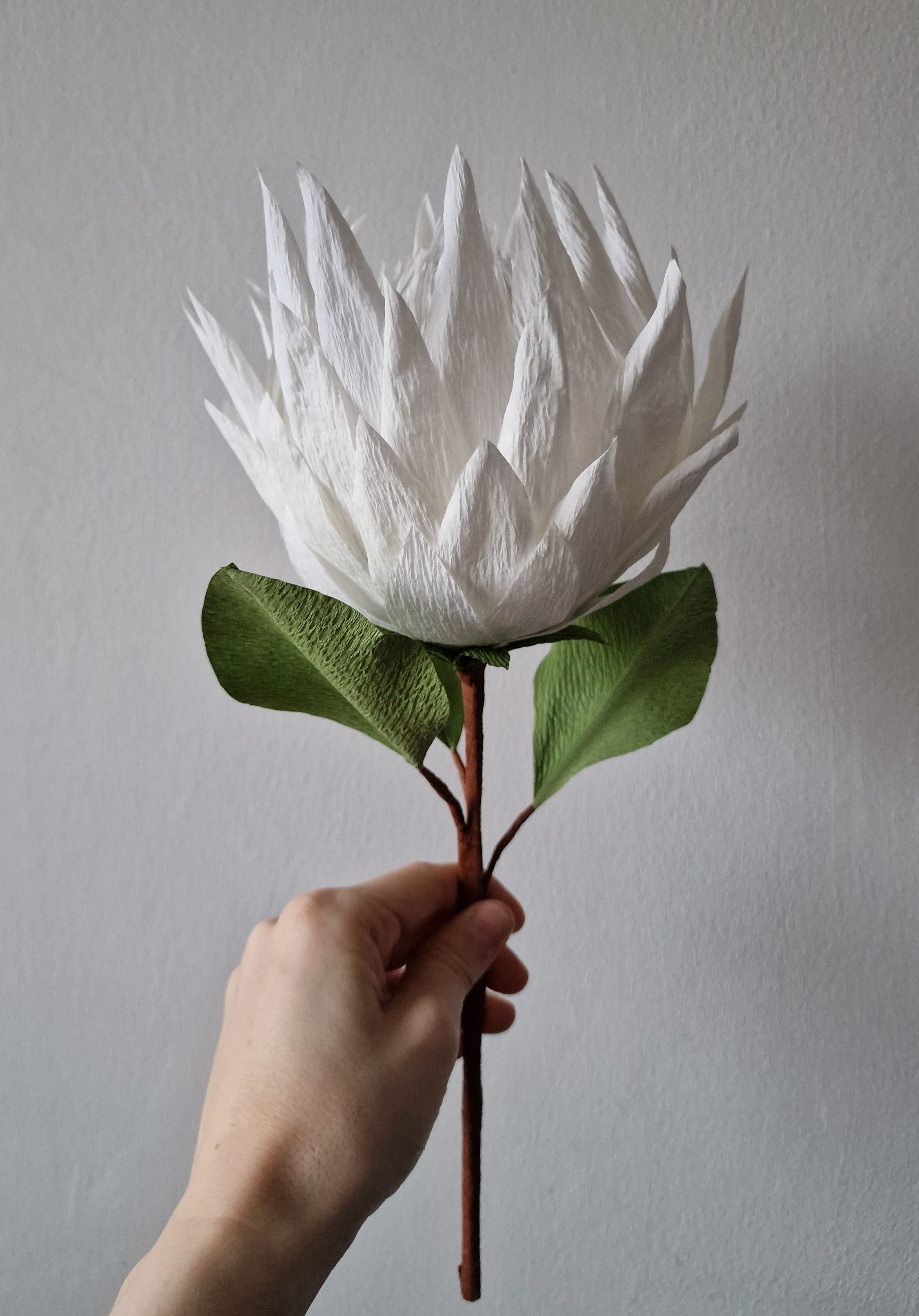 Paper Protea