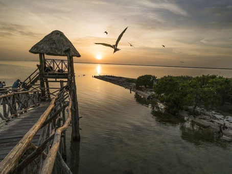 The Classic 3 Islands Tour: Discovering the Paradise Beyond Holbox