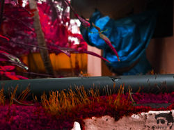 Artistic Image
