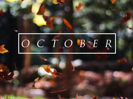 🌊✨ Hello October & Jupiter Enters Cancer ✨🌊