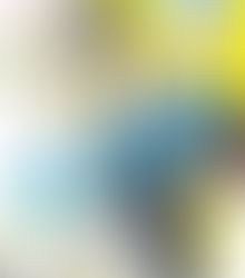 Tadatoshi Fujimaki's Kill Blue Manga Ends, Gets TV Anime