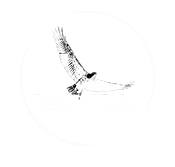 Carlett Eagle Productions (Nov 22).png