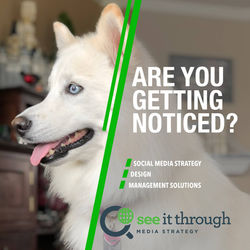 Are You Getting Noticed