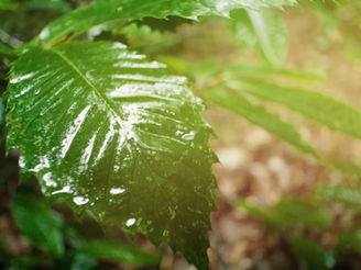 למה אני כל כך אוהבת את הייעוץ הרוחני בתקשור?