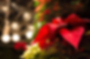 Festive Christmas Eve Service