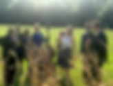 Theodicy in Concert