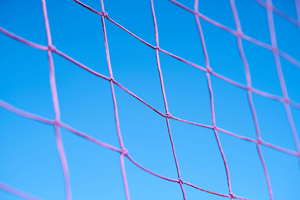 Pinkes Netz vor blauem Himmel