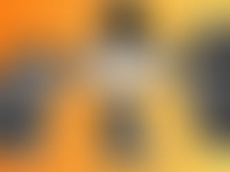 A força da internet na construção do novo conceito de fama