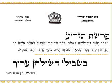 פרשת תזריע - בית כנסת כדורי מושב מטע