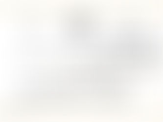 משפחות גרשון ומררי, חובת שליחת טמאים מחוץ למחנה, דיני מעילה, פרשת סוטה, פרשת נזיר, ברכת כהנים, קורבנות הנשיאים