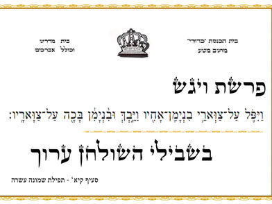 פרשת ויגש - בית כנסת כדורי מושב מטע
